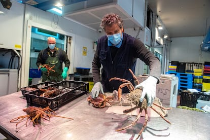 Julián Montes muestra especies de marisco en la nave de pescados de Mercamadrid.