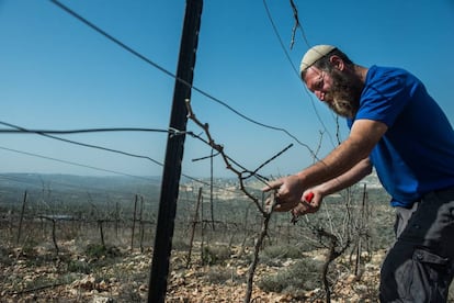 Colono israelense em Kfar Tipuah, na Cisjordânia.