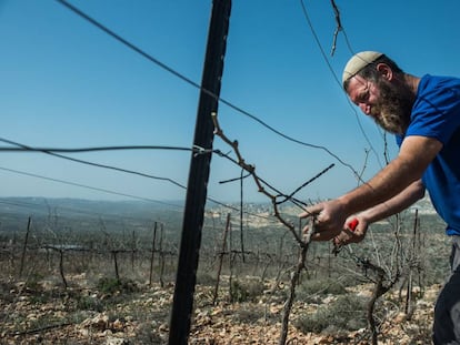 Colono israelense em Kfar Tipuah, na Cisjordânia.