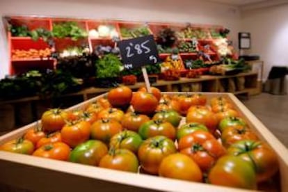 Una tienda con frutas y verduras, procedentes de la agricultura ecológica. EFE/Archivo