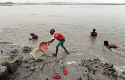 Hombres y niños buscan las monedas que los devotos hindúes tiran al río Ganges como ofrenda a sus dioses, en Sangam, India. 10 de julio de 2014.