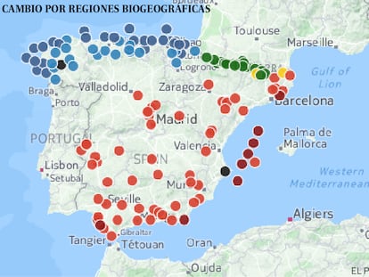 La quema de carbón dispara la emisión de gases de efecto invernadero