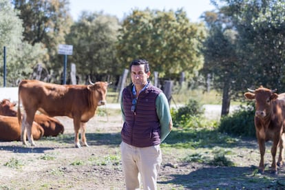 El agricultor y ganadero José Manuel Díez en su finca de Jerez de la Frontera, en Cádiz.