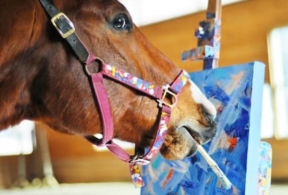 El caballo Metro con un pincel en la boca junto a uno de sus lienzos.