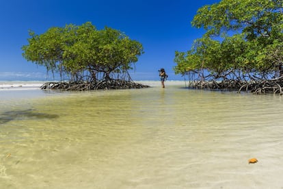 Morro de São Paulo es un pueblo sin coches ubicado en el extremo noreste de la isla brasileña de Tinharé, en la costa del Atlántico. Alberga playas con palmeras como la Playa 1, ideal para practicar surf, o la Playa 2, jalonada de restaurantes. La playa número 4 ha quedado en cuarto lugar en la lista de Tripadvisor: “Aguas cálidas con vistas asombrosas. Cuando el mar se relaja, se forman increíbles piscinas naturales. Es una playa imprescindible si visitas Morro de São Paolo”. <br></br> Más información: morrodesaopaulobahiabrasil.com/es/acerca-de-morro