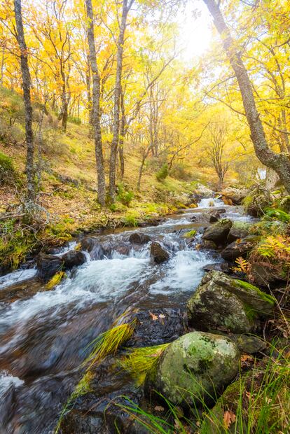 Imagen del parque nacional de la Sierra de Guadarrama, en Madrid.