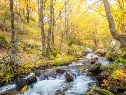 Imagen del parque nacional de la Sierra de Guadarrama, en Madrid.