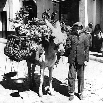 Madrid, marzo de 1923. Niño vendiendo verduras por la calle.