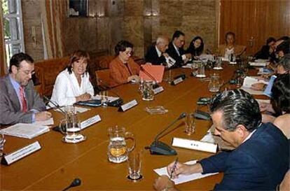 Narbona, durante la presentación del Plan de Asignación de Derechos de Emisión al Consejo Asesor de Medio Ambiente.