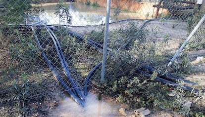 Balsa ilegal para la agricultura en el entorno de Doñana.