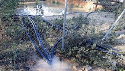 Balsa ilegal para la agricultura en el entorno de Do&ntilde;ana. 