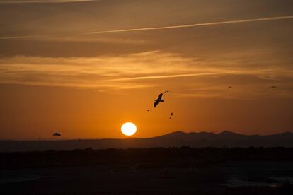 Amanecer entre los esteros naturales del Carrascón, San Fernando, Cádiz.