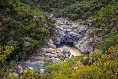 La diversidad de cactus que existe en México es abrumadora, y uno de los mejores lugares para comprobarlo es el desierto espinoso de la sierra de la Laguna, cerca de Santiago de los Coras, en el antiguo Camino Real de California. En medio de este secarral, las pozas y cascadas del cañón de la Zorra son un oasis de frescor para zambullirse rodeados de cactus cardones de varios metros de altura, nopales, torotes, mezquites, barriles, biznagas y arbustos de palo blanco. Más información: <a href="http://visitbajasur.travel/" target="_blank">http://visitbajasur.travel</a>