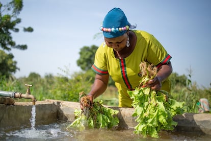 En Beo-Neere hay una división de tareas. Ivete es la encargada de la comercialización. En África, donde la mayoría de agricultura es a pequeña escala, la formación financiera de pequeños agricultores es esencial, como comenta Alice Rouault, coordinadora de Terre y Humanisme en Burkina Faso: “les damos formación financiera para que aprendan a comercializar los productos. La idea es que sean totalmente independientes económicamente en el futuro, la formación de pequeños agricultores es esencial para su independencia”.