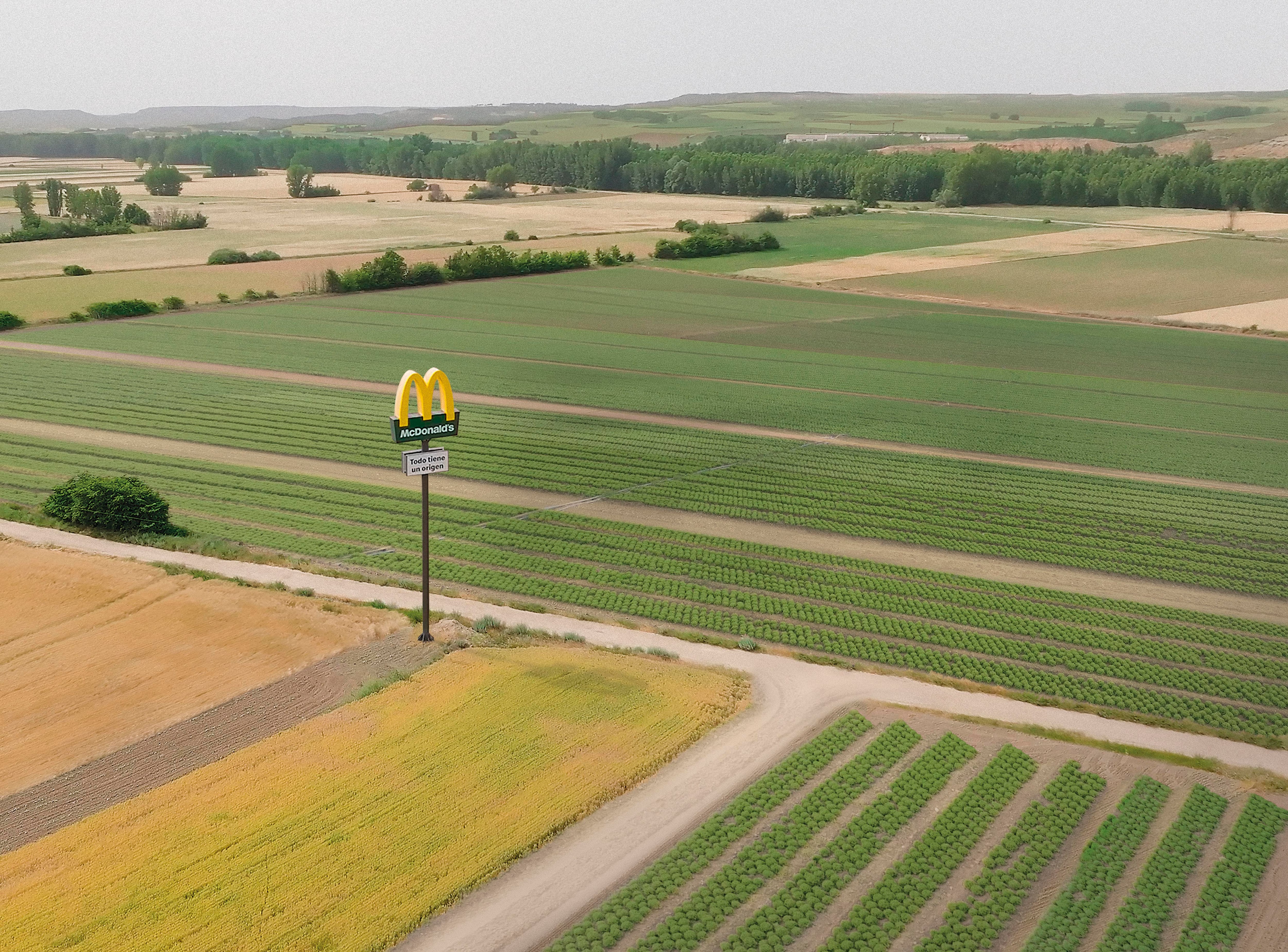 En busca del impacto positivo