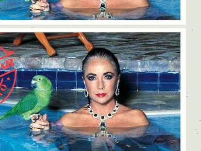 Tenemos que hablar de Elizabeth Taylor desnuda posando con 15 millones de dólares encima