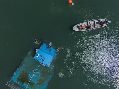 Buzos y personal de la Marina trabajan junto a una embarcación de dragado que se hundió en las labores de rescate tras el paso del huracán.
