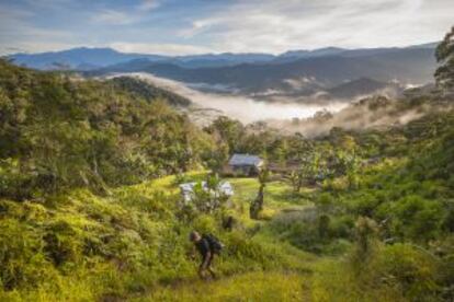 Senderistas en el camino de Kokoda, en Papúa Nueva Guinea.