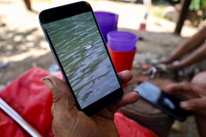 Walter muestra una fotografía en su celular de un cadáver encontrado en el río.
