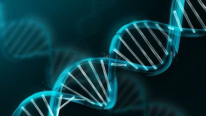 La doble hélice del ADN