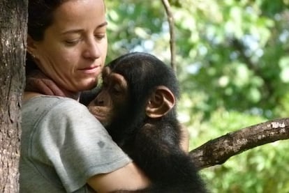 La primatóloga Liliana Pacheco con N'dama.