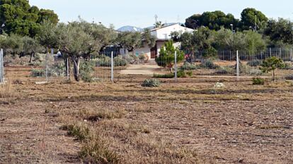 Edificación ilegal en el parque natural del Prat de Cabanes.