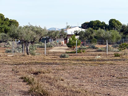Edificación ilegal en el parque natural del Prat de Cabanes.