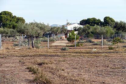 Edificación ilegal en el parque natural del Prat de Cabanes.