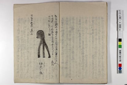 Amabie podría representar una versión alternativa de otro 'yokai' parecido, que se conoce con el nombre de Amabiko. Esta versión se remonta al año 1855 en la provincia de Echigo, ahora prefectura de Nigata. En este caso, las tres patas salen directamente de la cabeza. 