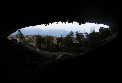 Cavernas patagônicas guardam provas de que humanos caçaram exemplares da megafauna, como o milodonte.