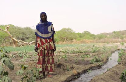 Hadje Gombo, junto a su sistema de regadío en el Lago Chad (Chad).