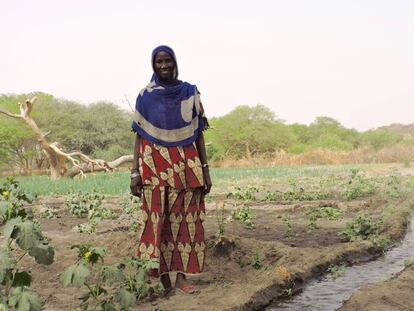 Hadje Gombo, junto a su sistema de regadío en el Lago Chad (Chad).