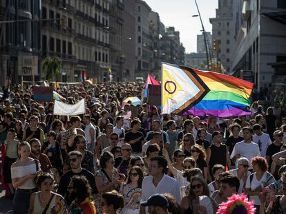 La manifestación por el día internacional LGBTI organizada por laCrida LGBTI.