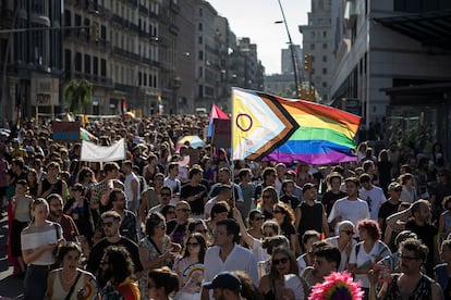 Manifestación por el día internacional LGBTI organizada por laCrida LGBTI