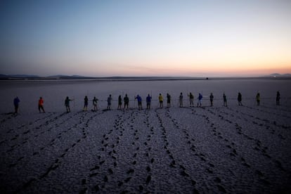 Ms de 475 personas han participado en el anillamiento de flamenco que ha tenido lugar este a?o en la Reserva Natural Laguna de Fuente la Piedra (Mlaga).