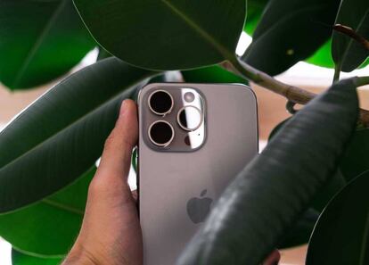 Trasera de un iPhone con plantas