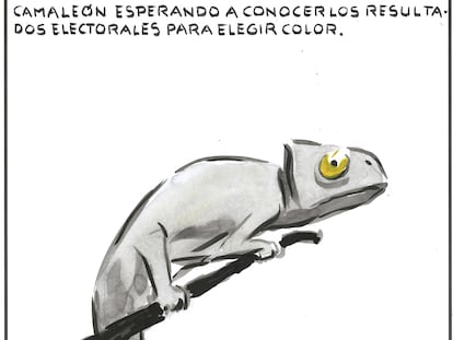 El Roto