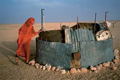 Un chamizo en el desierto del Sáhara.