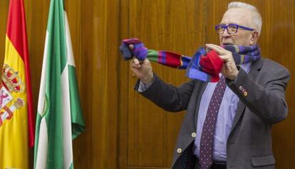El consejero de Economía, José Sánchez Maldonado, en el Parlamento.