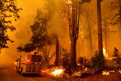 Un camión de bomberos en una zona forestal incendiada el sábado, cerca de Darrah, en el condado de Mariposa (California). 