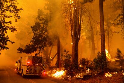 Un camión de bomberos en una zona forestal incendiada el sábado, cerca de Darrah, en el condado de Mariposa (California).
