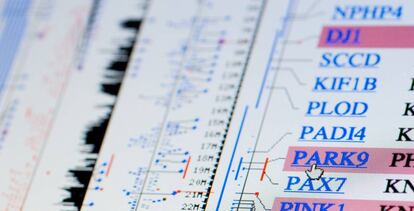 Vista del genoma del Park9, uno de los genes relacionados con la enfermedad del párkinson.