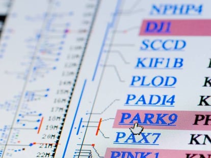 Vista del genoma del Park9, uno de los genes relacionados con la enfermedad del párkinson.