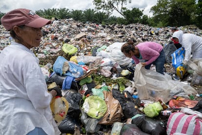 Martha Elena, de 61 años, en primer plano, clasifica junto a más pepenadoras la basura que acaba de descargar el último camión de basura.