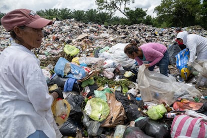 Martha Elena, de 61 años, en primer plano, clasifica junto a más pepenadoras la basura que acaba de descargar el último camión de basura.  