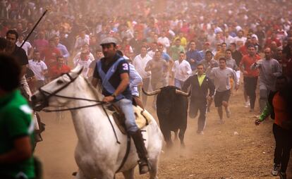 Los jinetes rodean a 'Pelado' durante la celebración del Toro de la Vega.