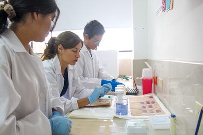 La veterinaria Ainoa Nieto trabaja en el laboratorio de la fundación Charles Darwin.