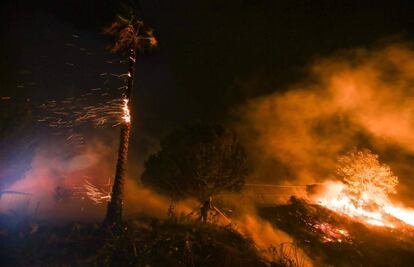 El origen del peligro está en los llamados vientos de Santa Ana, un aire fuerte que viene del desierto hacia la costa y seca todo a su paso. Cuando sopla, la alerta de incendios es máxima. Normalmente, el fenómeno se produce a finales del verano, es muy raro que los vientos de Santa Ana soplen en diciembre. En esta imagen, la palmera da una idea de la velocidad a la que vuelan las pavesas ardiendo desde hace una semana. La foto es en Santa Paula, Ventura, la madrugada del lunes.