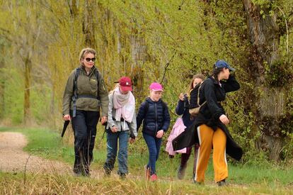 Los reyes Felipe I y Matilde de Bélgica han repetido la experiencia de regresar, junto a sus hijos y algunos amigos, al Camino de Santiago, en lo que ya han convertido en una tradición por Semana Santa.