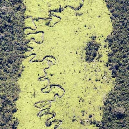 Fotografías tomadas por satélite y la diversa información recabada indican que propietarios de tierras, ganaderos, agricultores de soja y madereros quemaron y cortaron grandes extensiones el año pasado. En total, 26.130 kilómetros cuadrados de bosques tropicales en doce meses, hasta el mes de agosto de 2004, según el Ministerio brasileño de Medio Ambiente. En 2003, fueron destruidos 24.600 kilómetros cuadrados.